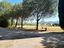 Immagine 13