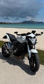 Hornet 600