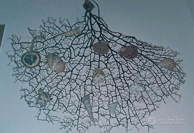 Corallo nero con conchiglie