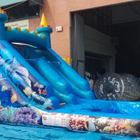 Gioco Gonfiabile Scivolo Acquatico - Usato