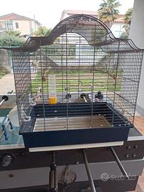 Gabbia x uccelli