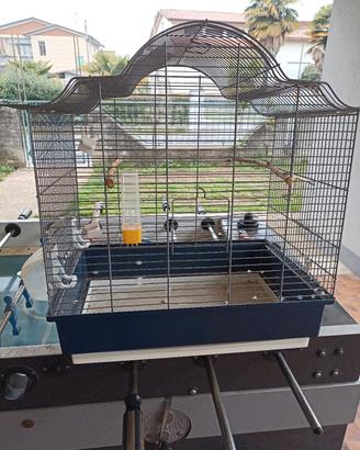 Gabbia x uccelli
