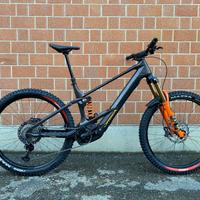 Orbea wild M team 2024 XL