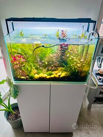 Acquario completo Ada