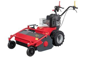 trinciaerba BENASSI TR600