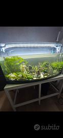 Acquario 180 lt