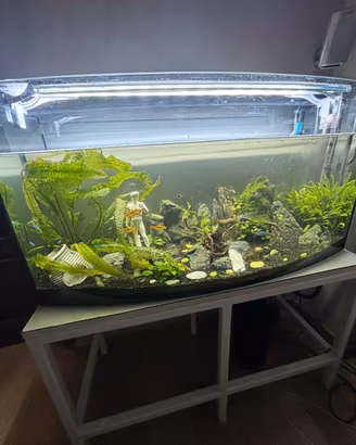 Acquario 180 lt