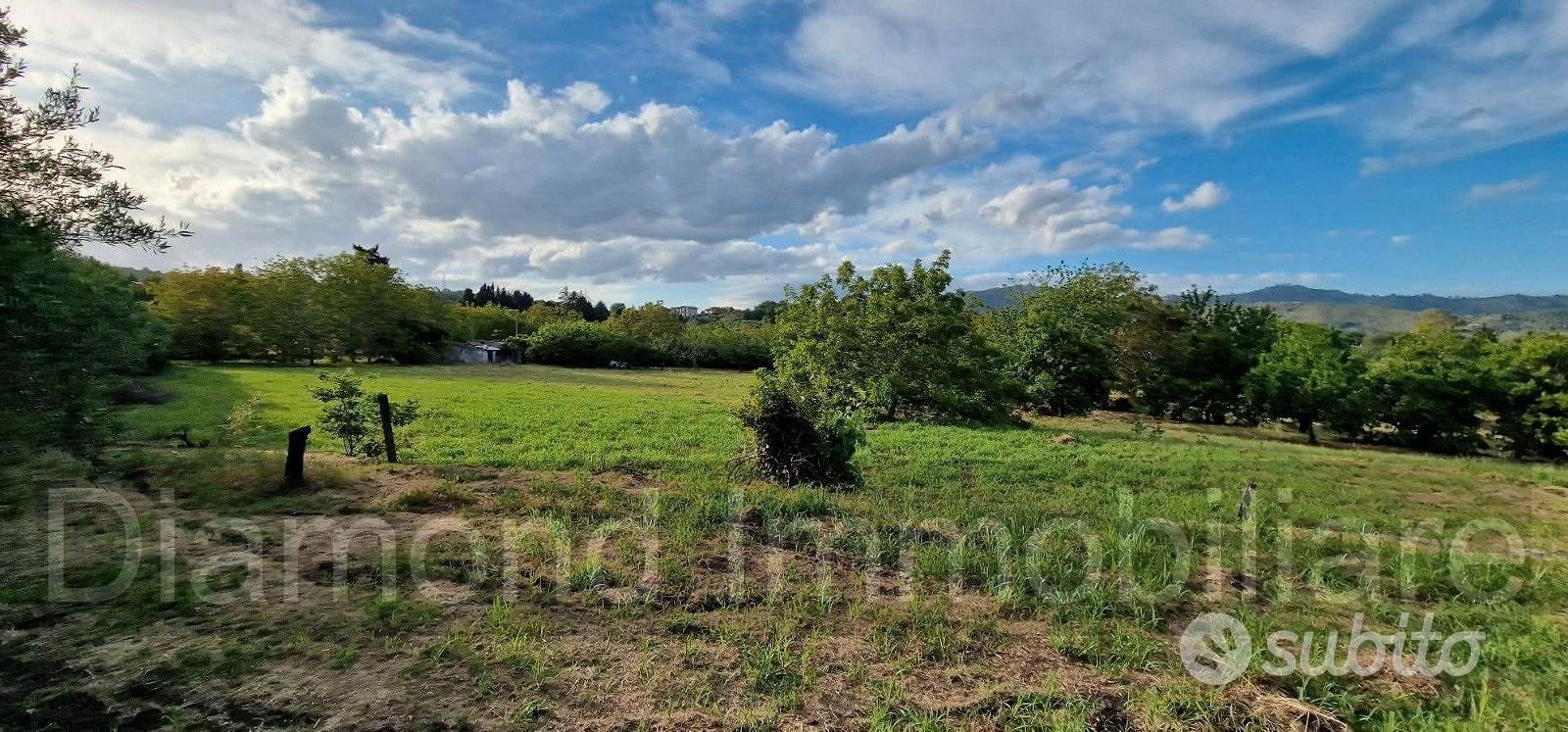 Rustico con uliveto e vigneto a Piedimonte Etneo - Vista 4