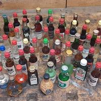 Collezione  bottiglie mignon