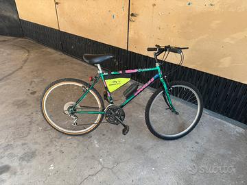 bicicletta