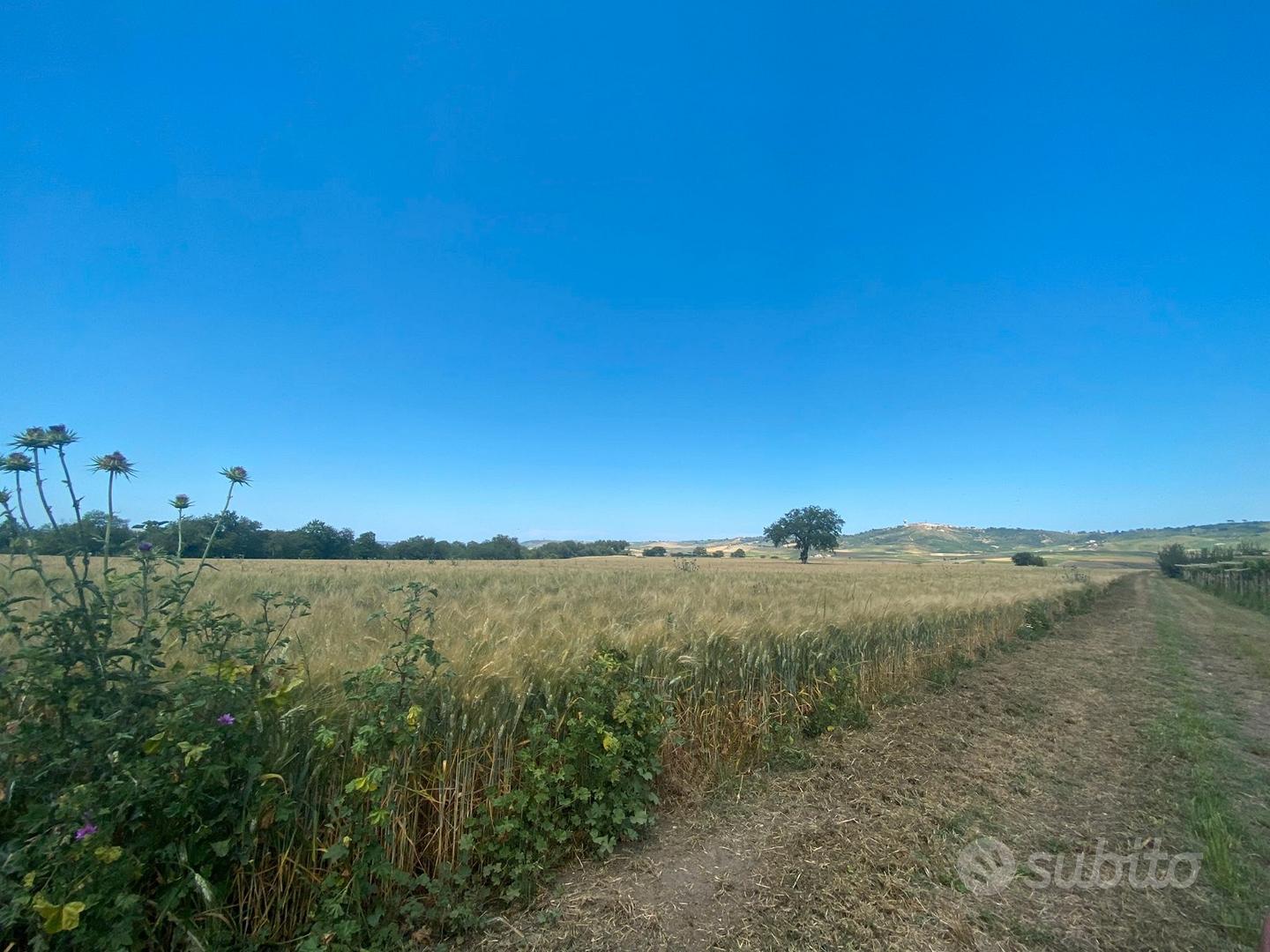 Seminativo Irriguo + Bosco 9 ha Rif.0856 - Vista 3