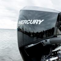 Mercury F225 V6 DS Nuovo PROMO Get MORE