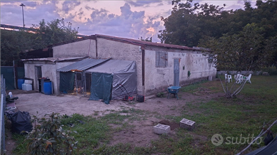 Terreno agricolo 300 euro mensili