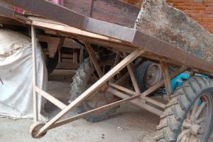 Carretto agricolo a mano