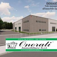 MQ 5.000 TIVOLI, TIVOLI TERME, RIF. A-988