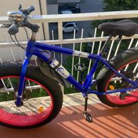 Bicicletta senso elettrica