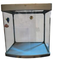 Acquario 38 litri