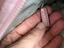 Immagine 4