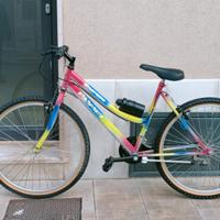 bicicletta colorata 