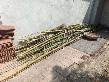 canne di bamboo