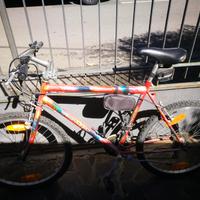 mountain bike uomo