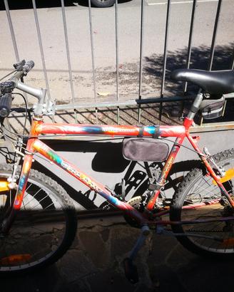mountain bike uomo