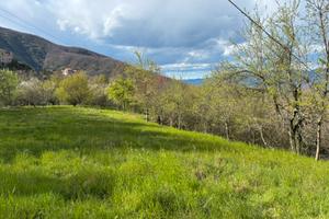 Terreno agricolo