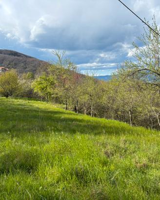 Terreno agricolo