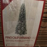 ALBERO DI NATALE - PINO CALIFORNIANO