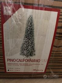 ALBERO DI NATALE - PINO CALIFORNIANO