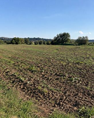 Terreno Agricolo - Vetralla