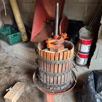 Pressa e Pigiatrice per Uva