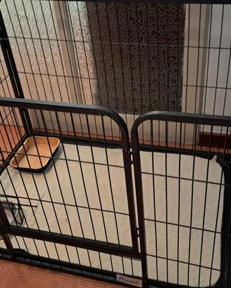 Gabbia per cani Pawhut