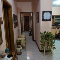 Appartamento 140 mq via pasquale rossi cosenza