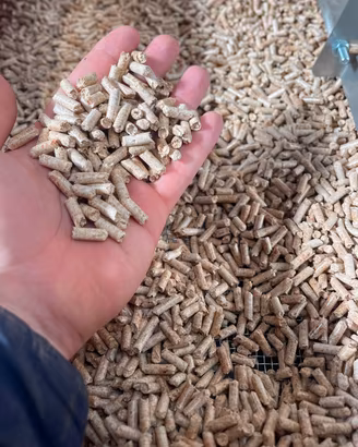 Pellet abete bianco sacco 15 kg 