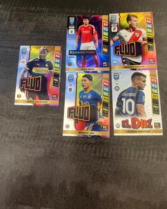 Figurine Panini 2024/2025