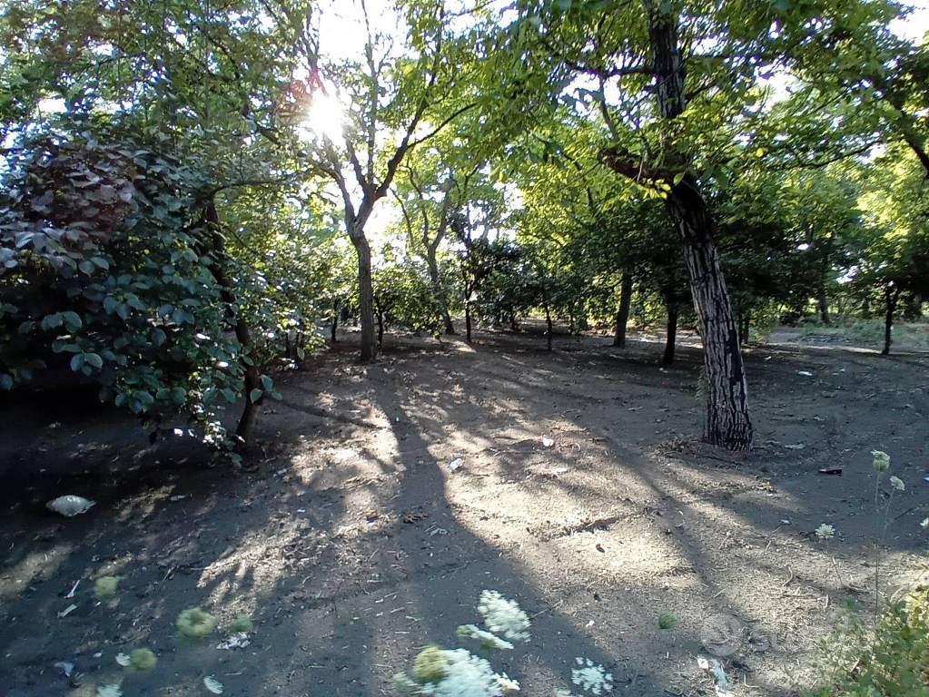 Terreno di 3537 m² a San Gennaro Vesuviano - Vista 5