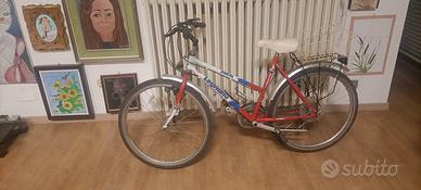 Bicicletta tipo Mountain bike ruote 26