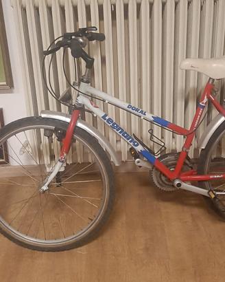 Bicicletta tipo Mountain bike ruote 26
