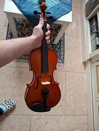 Violino
