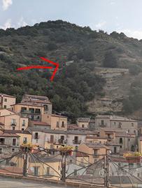 Grazioso podere