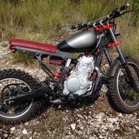 Honda NX 650 Dominator scrumbler ASI