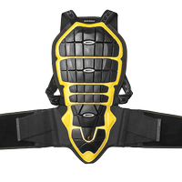 Paraschiena scorpion