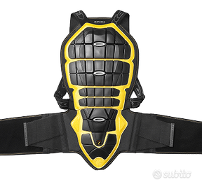 Paraschiena scorpion