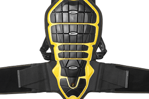 Paraschiena scorpion