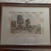 litografia acquerellata Artista Marisa Benetti