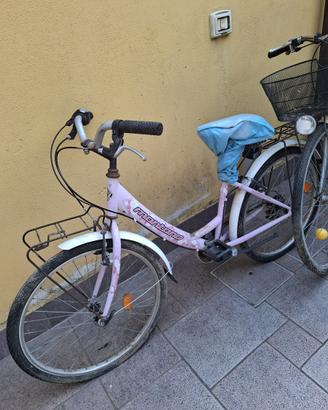 Bicicletta per ragazzi viola