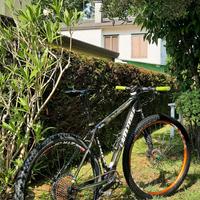 mtb cannondale in carbonio.