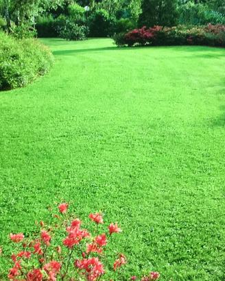 Giardiniere ROSSIGIARDINI - Green Different -