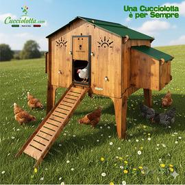 Pollaio rialzato 20 galline fattoria didattica